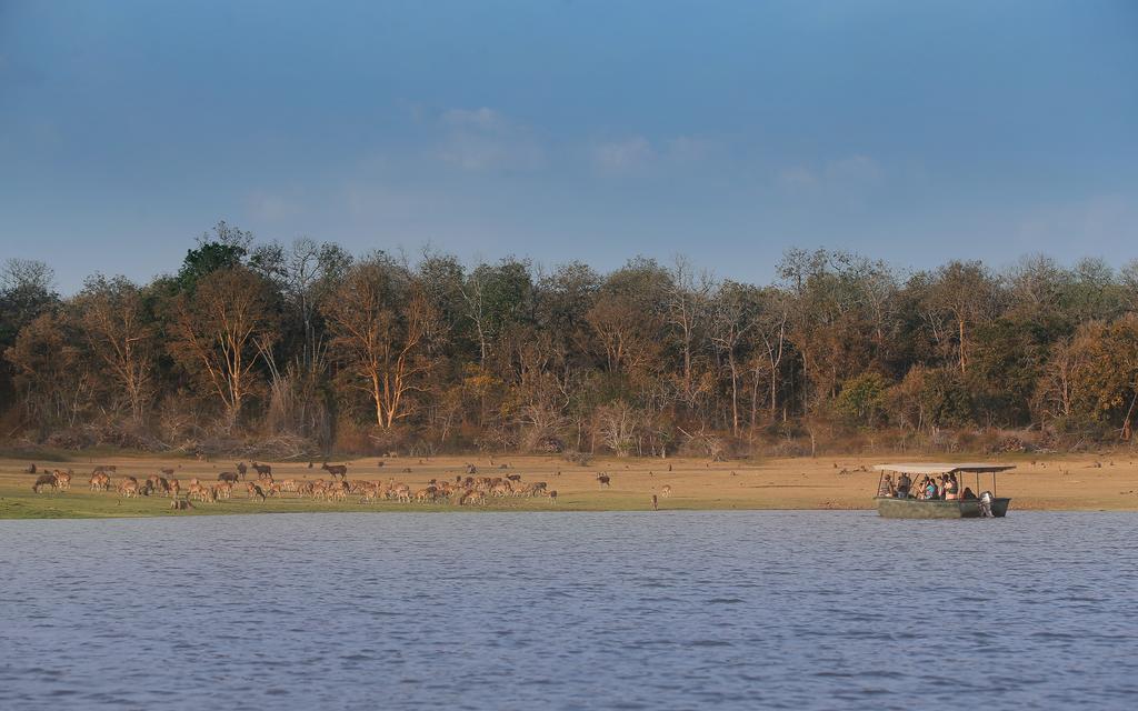 Evolve Back Kabini Begur Exterior photo